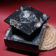 Kuber Stone Box ( Orthocerus Fossil )