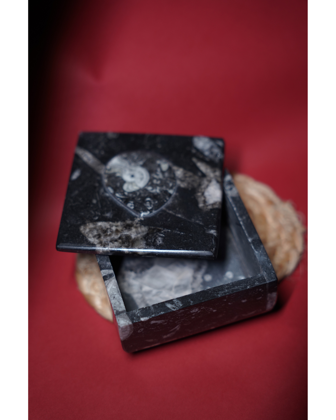 Kuber Stone Box ( Orthocerus Fossil )