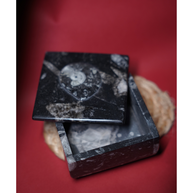 Kuber Stone Box ( Orthocerus Fossil )
