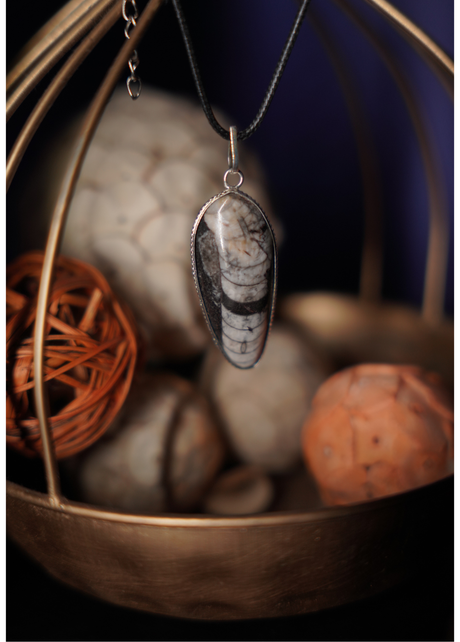 Kuber Stone Pendant ( Orthocerus Fossil )