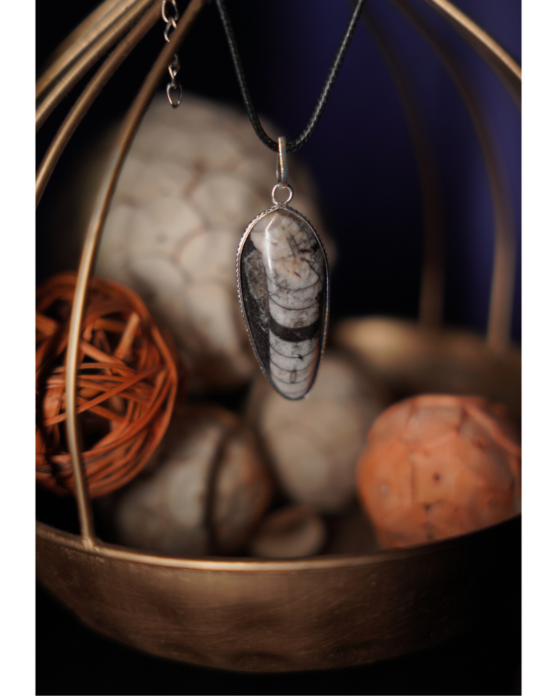 Kuber Stone Pendant ( Orthocerus Fossil )