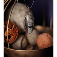 Kuber Stone Pendant ( Orthocerus Fossil )