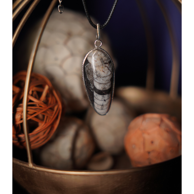 Kuber Stone Pendant ( Orthocerus Fossil )