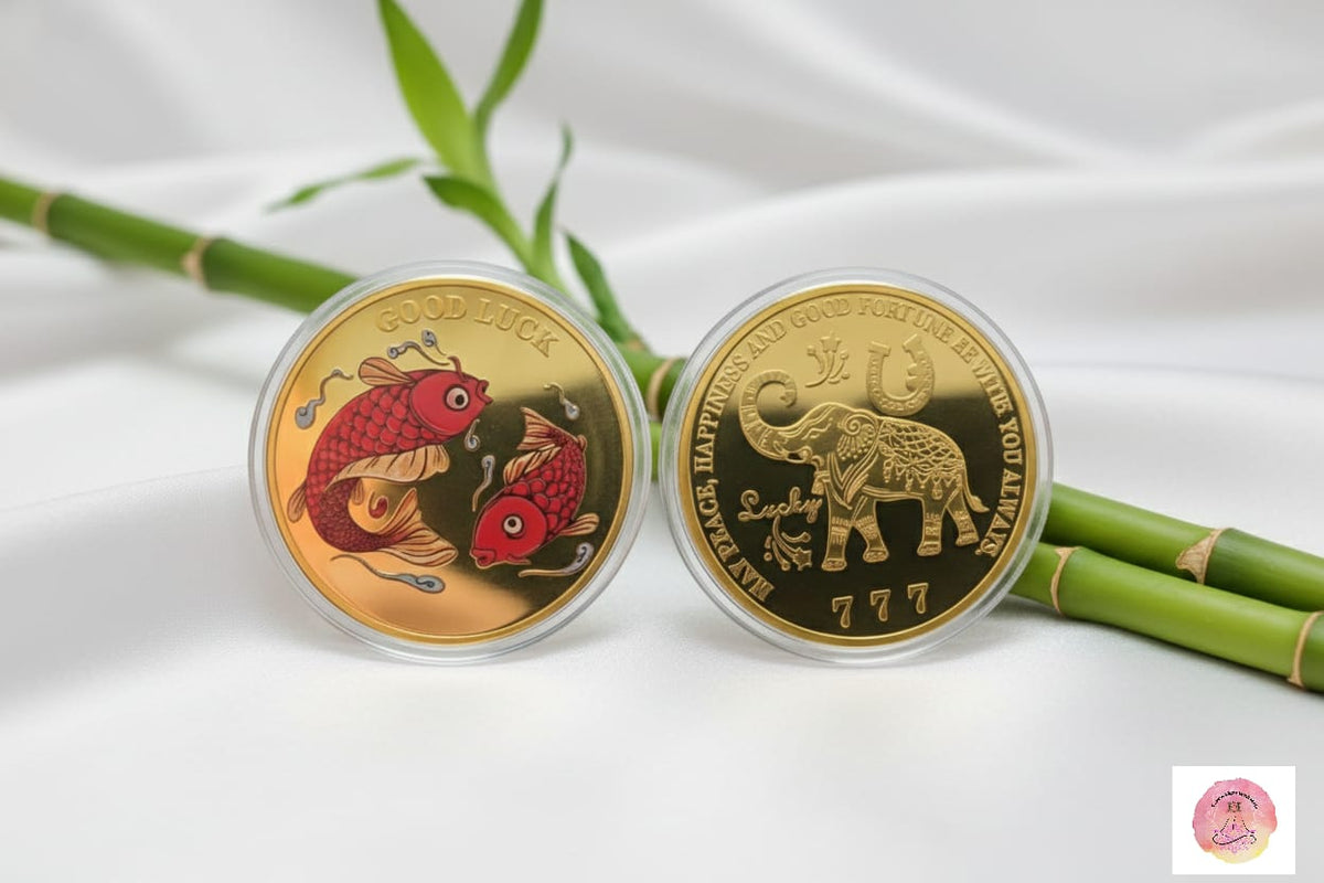 Feng Shui - Fish Love Coin