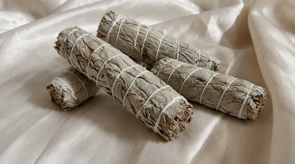 Indian Sage - Pair of 4