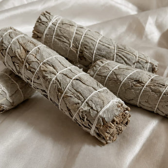 Indian Sage - Pair of 4