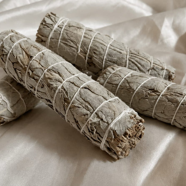 Indian Sage - Pair of 4