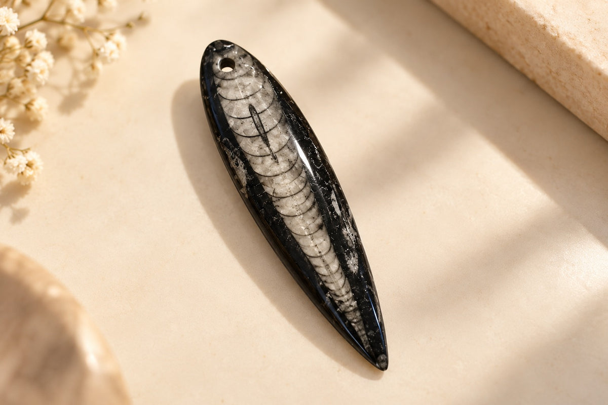 ORTHOCERAS FOSSIL AMULET — KUBER PENDENT FOR WEALTH