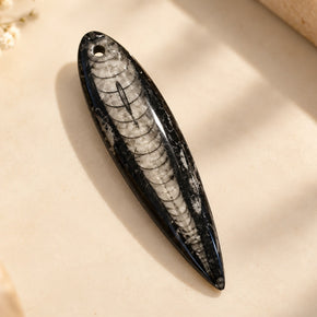ORTHOCERAS FOSSIL AMULET — KUBER PENDENT FOR WEALTH