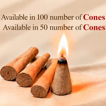 Dhoop Shanku ~100 Numbers of Cones