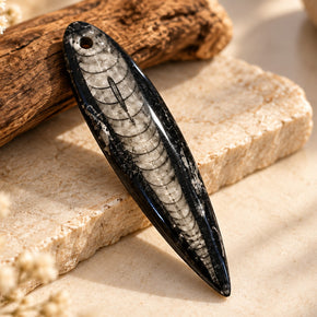 ORTHOCERAS FOSSIL AMULET — KUBER PENDENT FOR WEALTH
