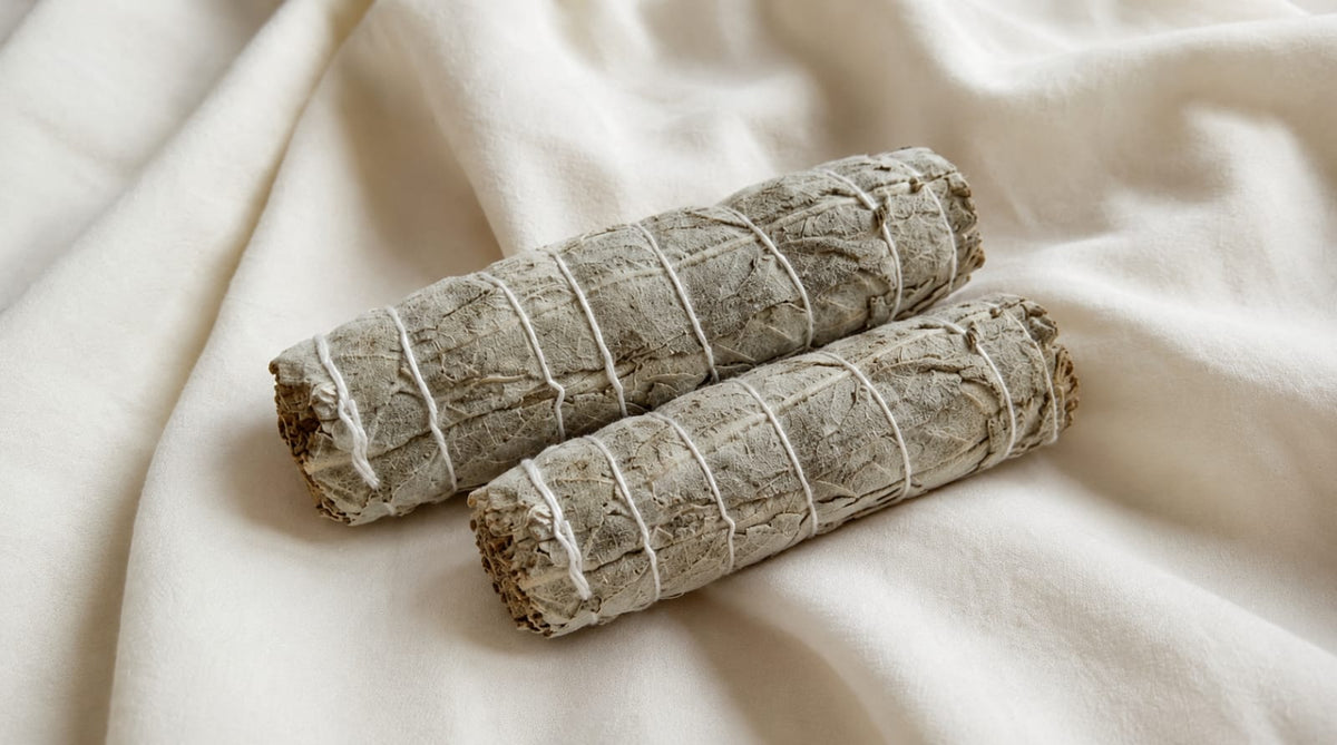 Indian Sage - Pair of 2