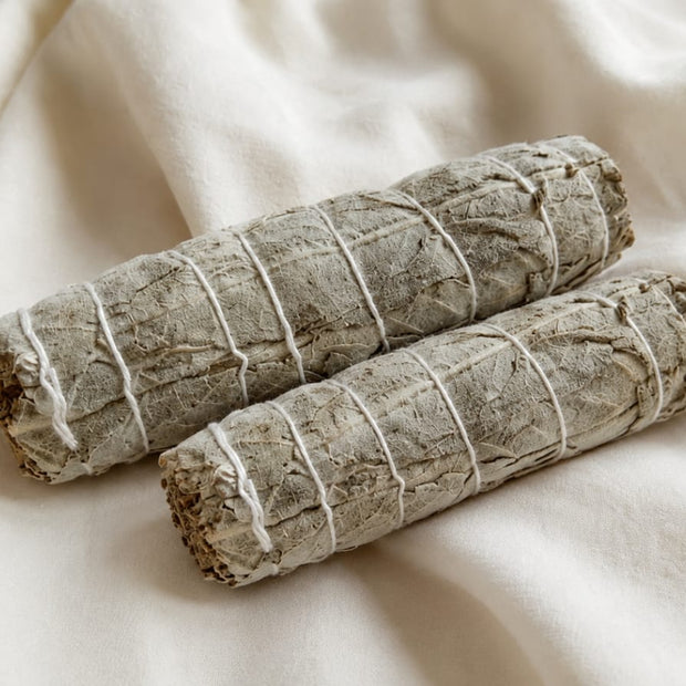 Indian Sage - Pair of 2