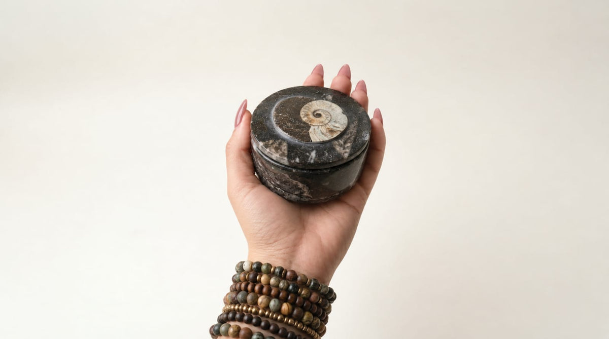 Kuber Dhan Guardian Box