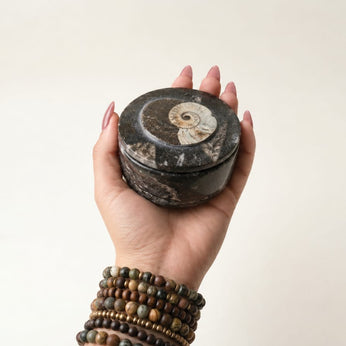 Kuber Dhan Guardian Box
